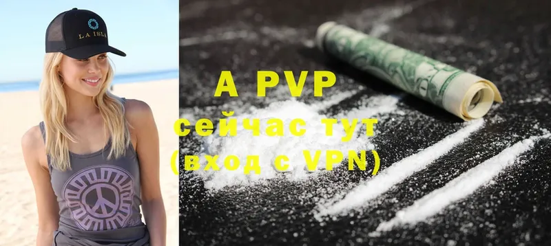 Alfa_PVP СК  Грязи 